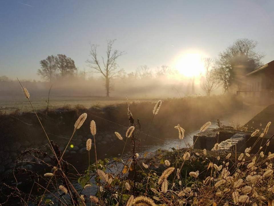 Agriturismo Helianthus أوليجّ المظهر الخارجي الصورة