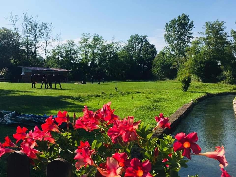 Agriturismo Helianthus أوليجّ المظهر الخارجي الصورة
