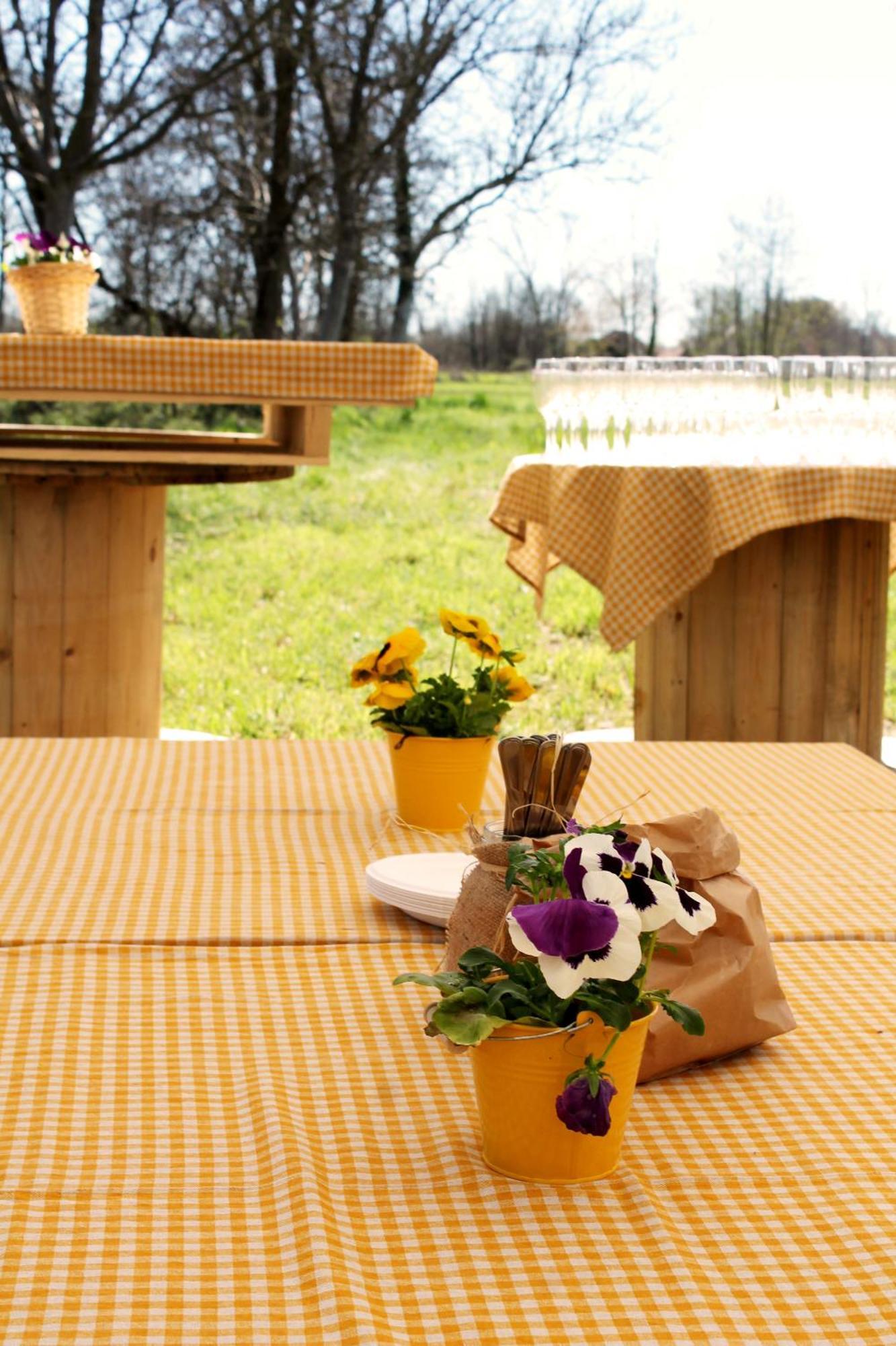 Agriturismo Helianthus أوليجّ المظهر الخارجي الصورة